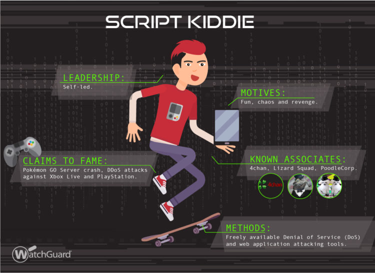 Script kiddie tools
